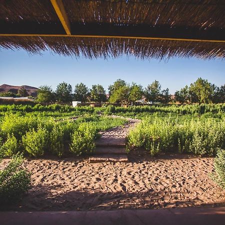 Eco-Lodge El Andinista 산 페드로 데 아타카마 외부 사진